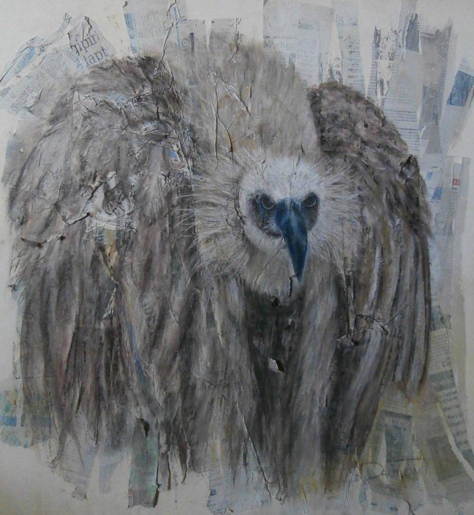 Portrait d'un charognard. le visage est très expressif avec de gros yeux noirs, un coup rentré dans le corps, les plumes donnent un gros volume. Art animalier