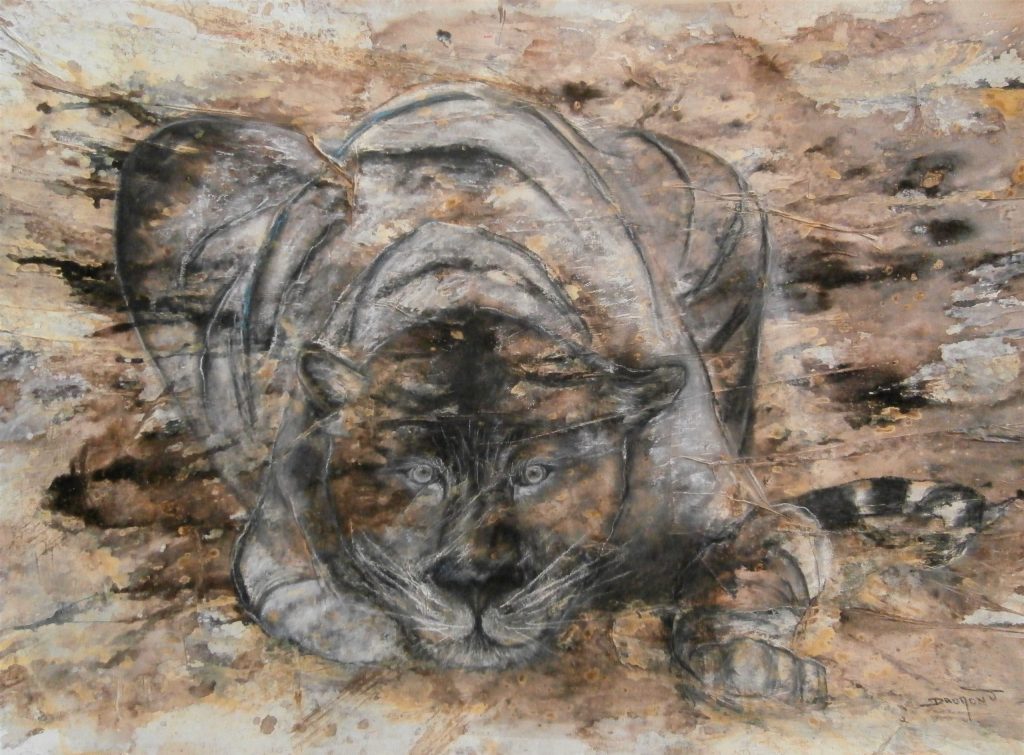 Tigre blanc dont les yeux sont translucides et qui est couché sur le ventre à l'affut. art animalier