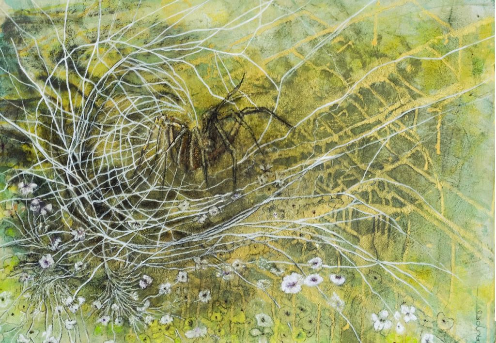 une araignée qui tisse sa toile blanche dans un champs de fleur